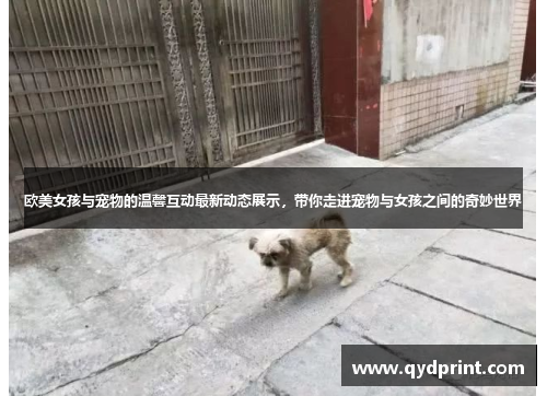 欧美女孩与宠物的温馨互动最新动态展示，带你走进宠物与女孩之间的奇妙世界